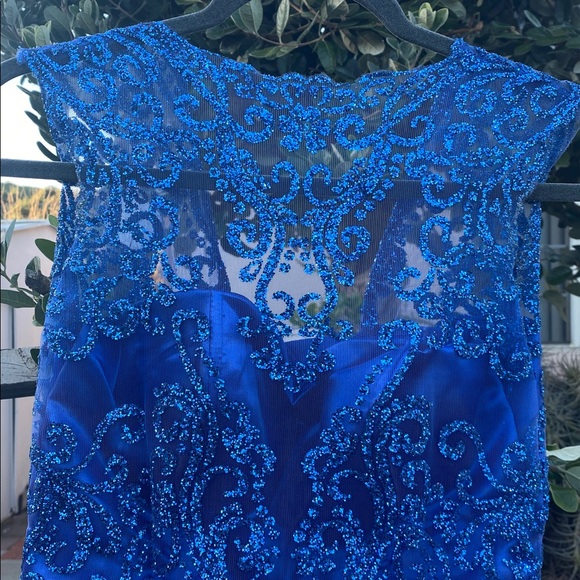 Royal Blue Lace & Tulle Floor-Length Ball Gown with Built-In Petticoat - Picture 9 of 17